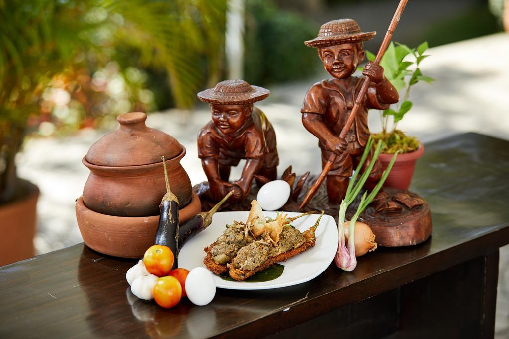 Metro Vigan Fiesta Garden Hotel Екстериор снимка